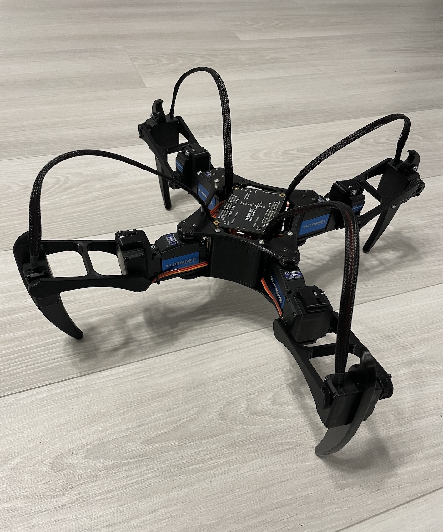 Quadruped